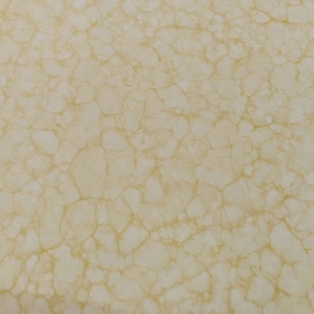 XS08