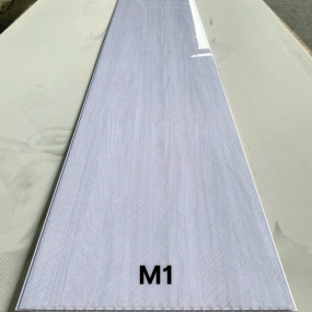 M1