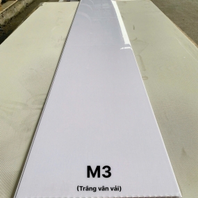 M3
