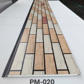 PM-020