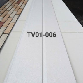 TV01-006