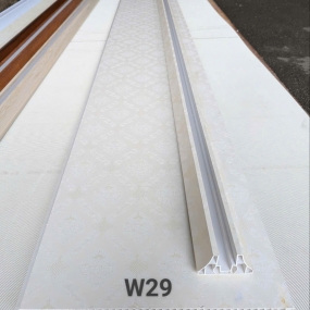 W29